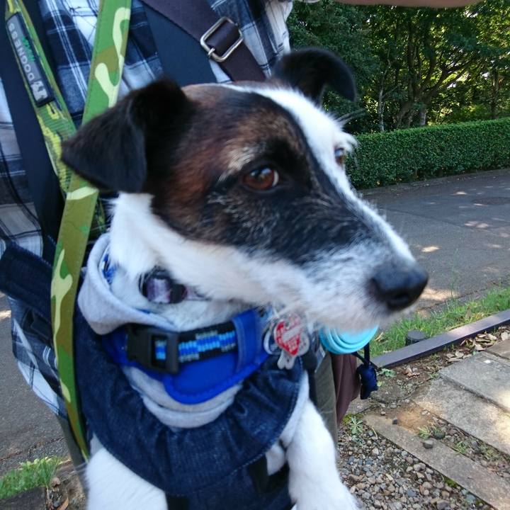 51c7f92c 54c6 4ab9 b6f6 0e63e8252e7c