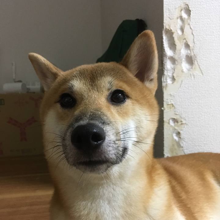 51c84447 8708 48b5 8fc4 8cb308b09b7e