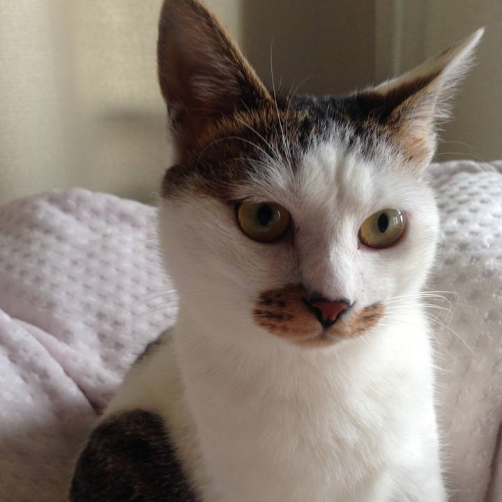 51c87219 df73 4df2 8001 88776276b488