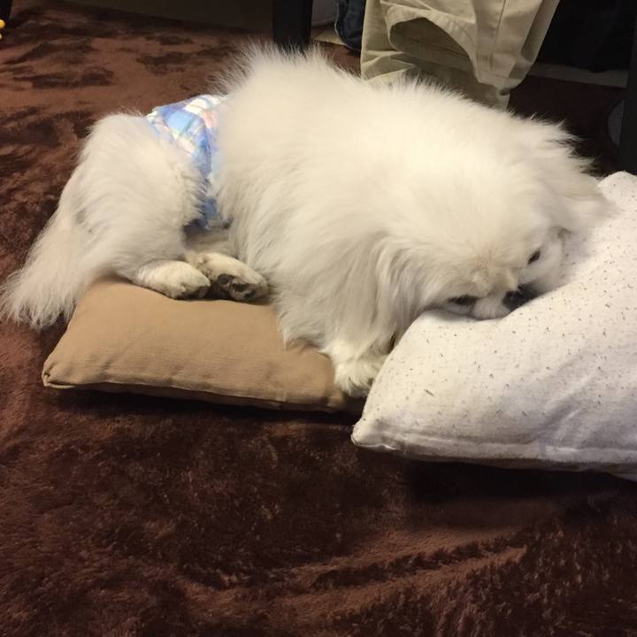 51c8bc82 21fb 429e 9968 c325b353bd15