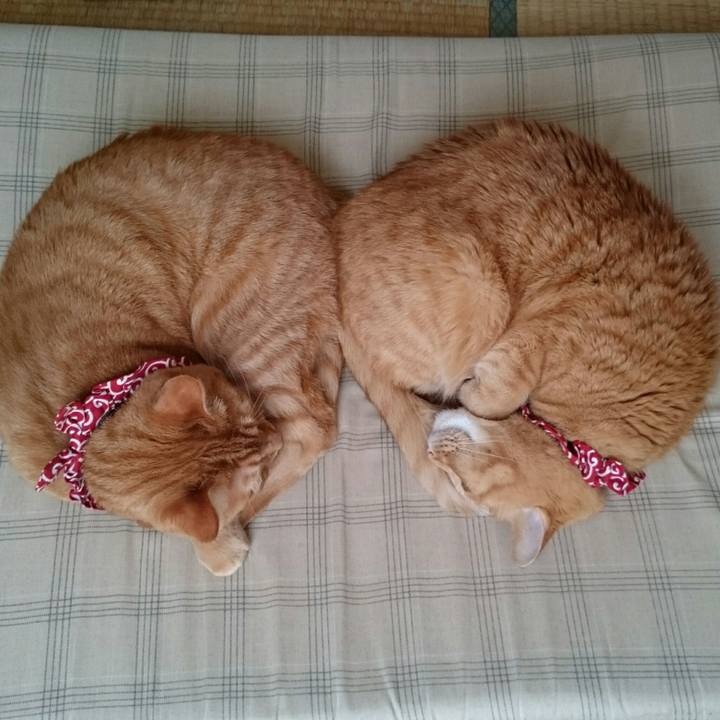 51c97834 e208 4622 b820 fdc4a6ecf56b