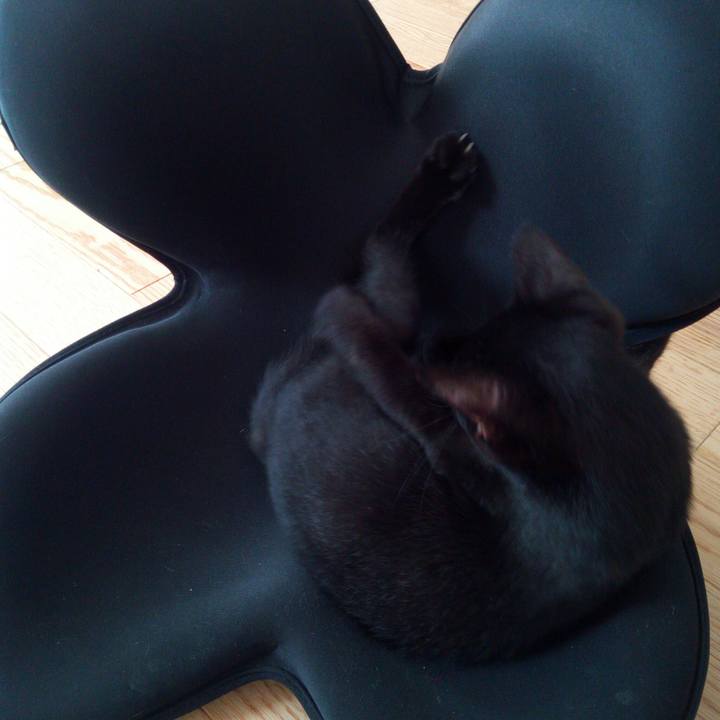 51ca3f75 c6e9 41f3 bc72 c4a380ee339d