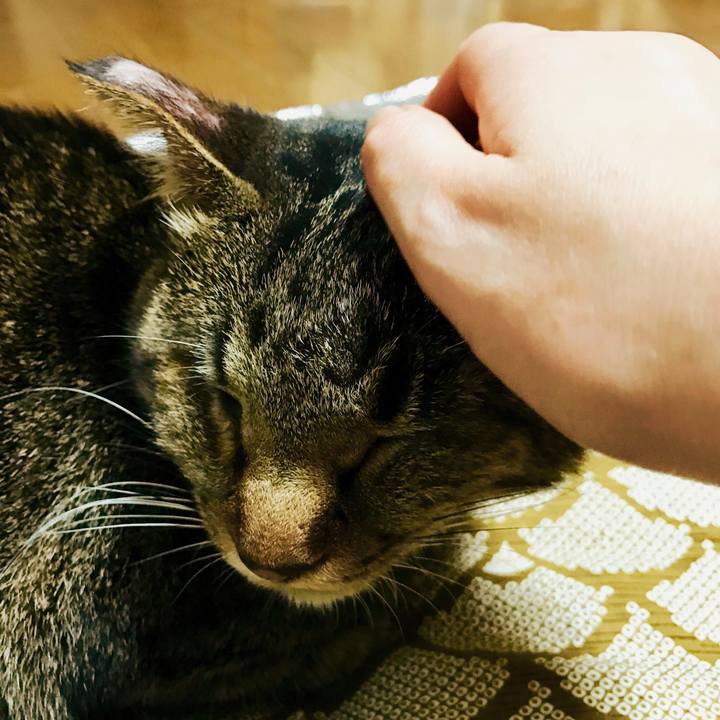 51ca402a 8d74 44f8 80ab f8c67193b2a0