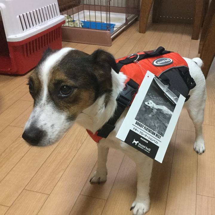 51cae362 a54c 4215 9758 1ed4803907e1