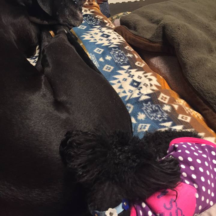 51cb904e 265b 4a9a a89f 4e79e631ca75