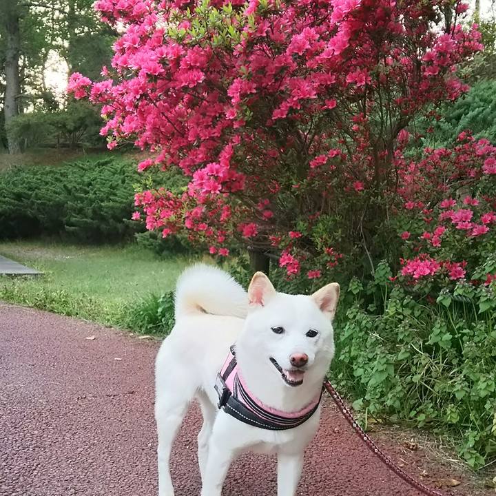 51cbbfd8 4b3b 46ac 887a 5adbc73a8a69