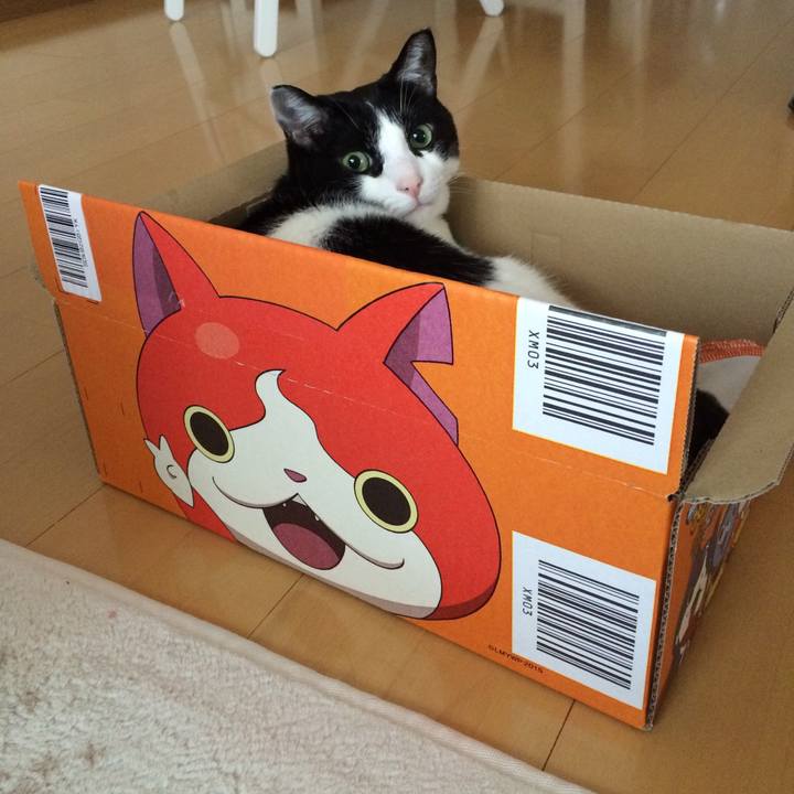 51cd73df b5f8 48d2 abd2 a5f4ec8600e7