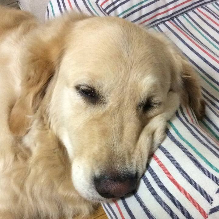 51cd9a61 3297 4463 8e7f 02bb2ad0e3b1