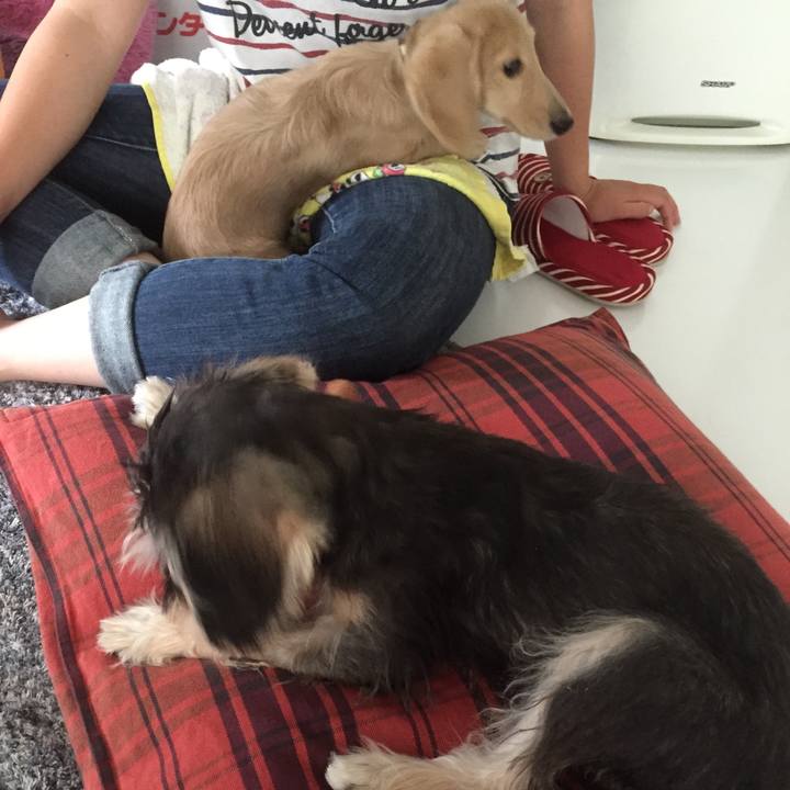 51cde677 524c 4449 9c4d 83f1732e7604