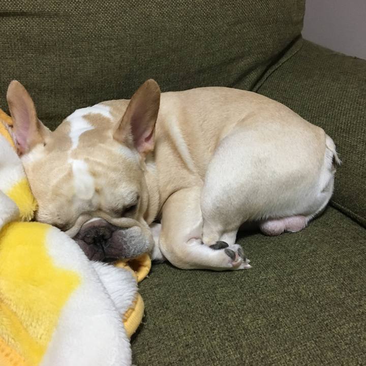 51ce4837 b836 42a7 8671 a0150f3a76ea