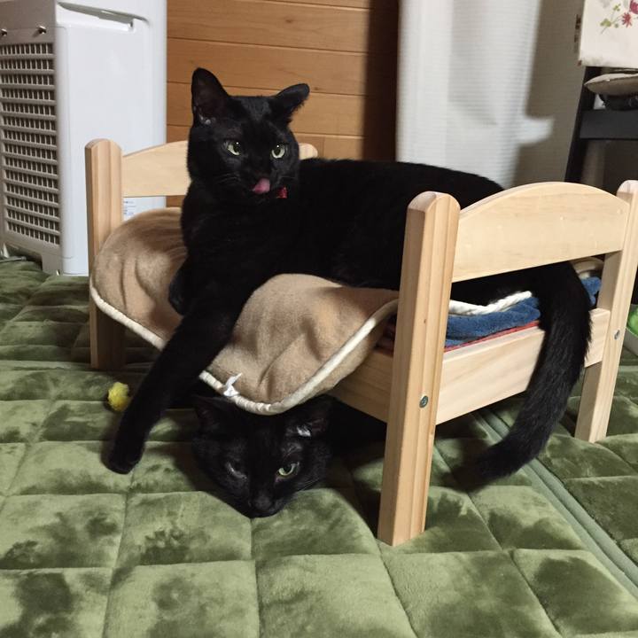 51ce7200 da39 4024 be9a f387e40412dc