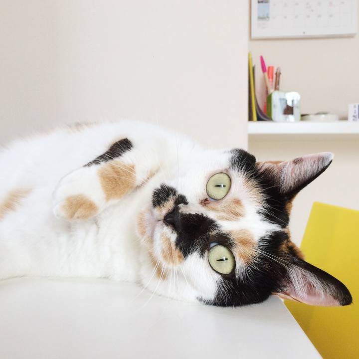 51cecb98 0a3e 40b8 ac67 3920b38a6d9c