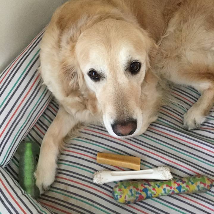 51cf16fe 2505 4a40 8358 a22d98079d88