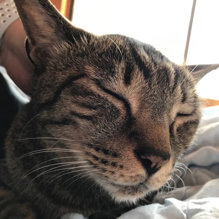 51cfc15c ba74 47c8 ba58 5b01889cd47f