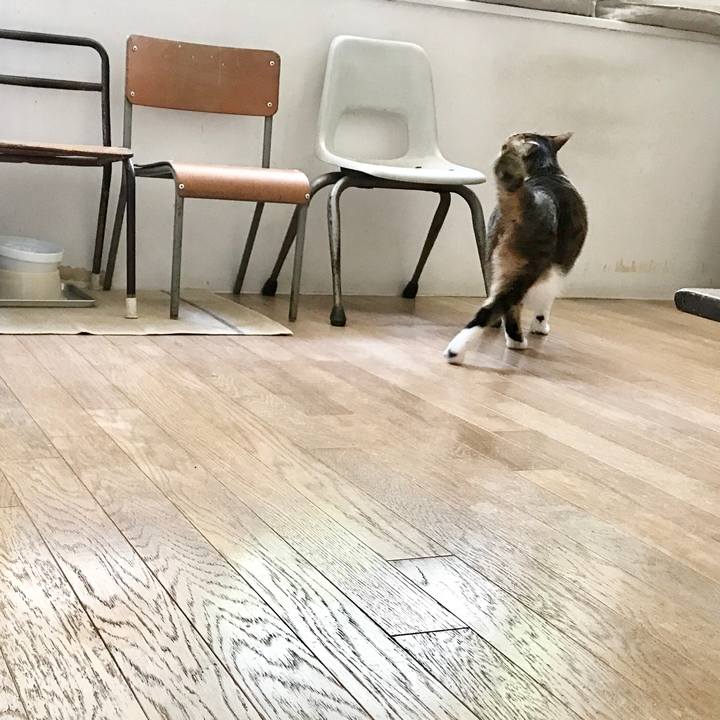 51cfc415 b869 48a3 84bd 3e01fd7c1cfd