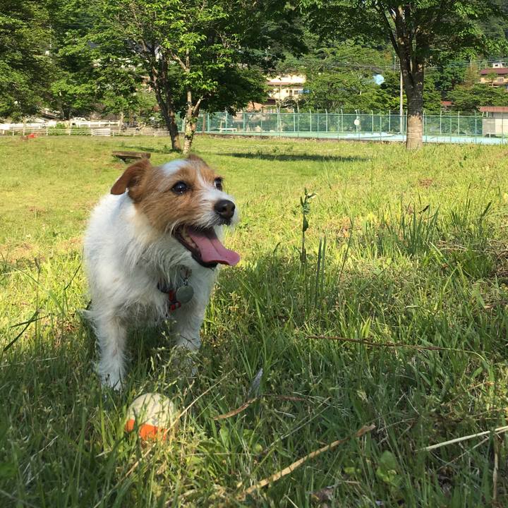 51d0721e 9242 4e1d 9e5d 5e8f693ae429