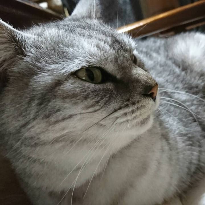 51d07583 9458 45b2 abba 0367e5063006