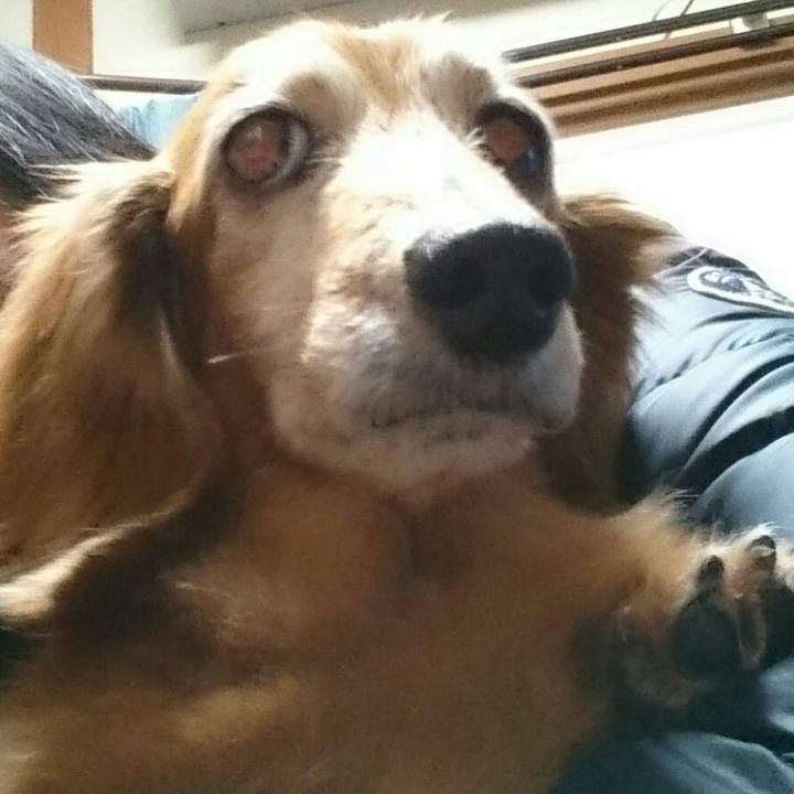 51d0800c 9c99 4906 8d1e d4aa44ab4bbe