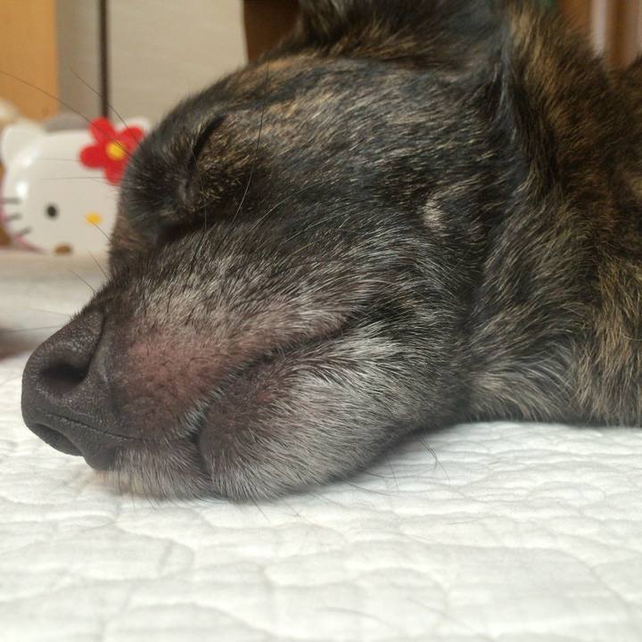 51d09ab2 7127 4e15 90b7 5d259c0e525e