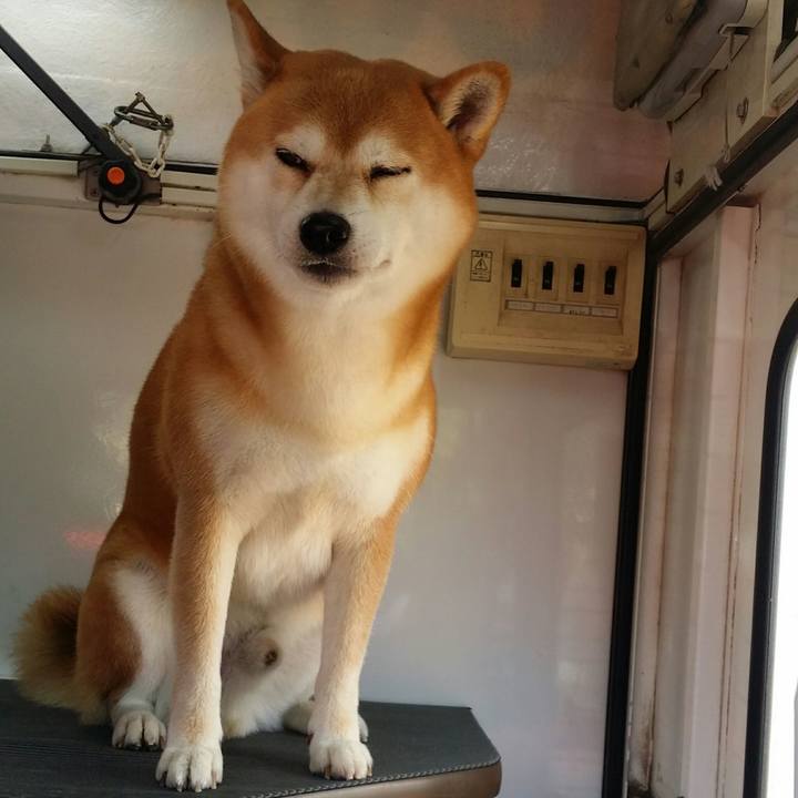 51d0b33b ffcf 4746 9366 98c29601971a