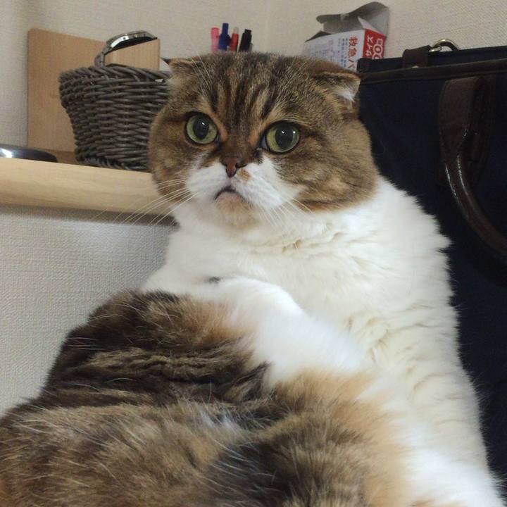 51d0c942 9c9e 4ceb 890e 1ab2a0228512