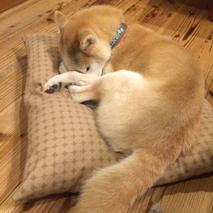 51d12667 4b80 4a67 9eac 0a2c6a0a43e4