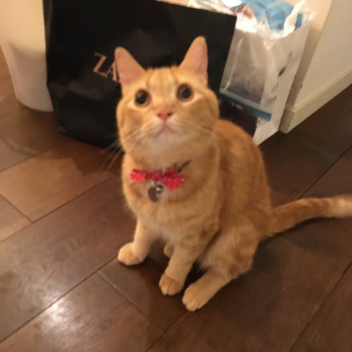 51d17eb2 ef53 4fbb 8c2d 445e25974ee9