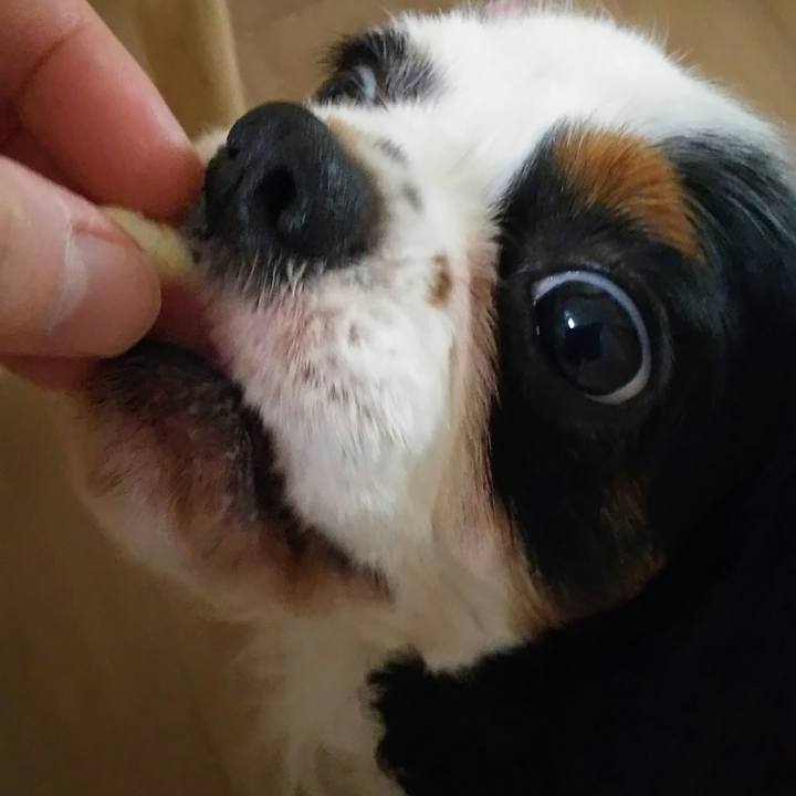 51d2634e 3d11 443d 9d7b 1ccaddb0053b