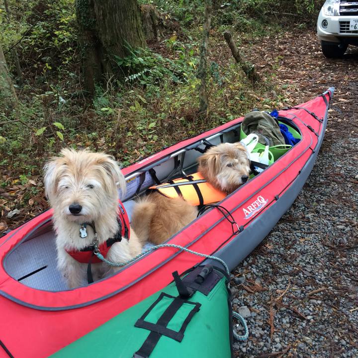 51d3512d 0502 455c 88b0 7c1cedec9082