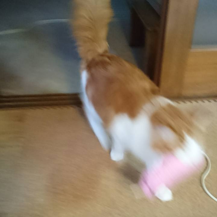 51d39e95 173e 43c0 b5a5 faa6272f3fae