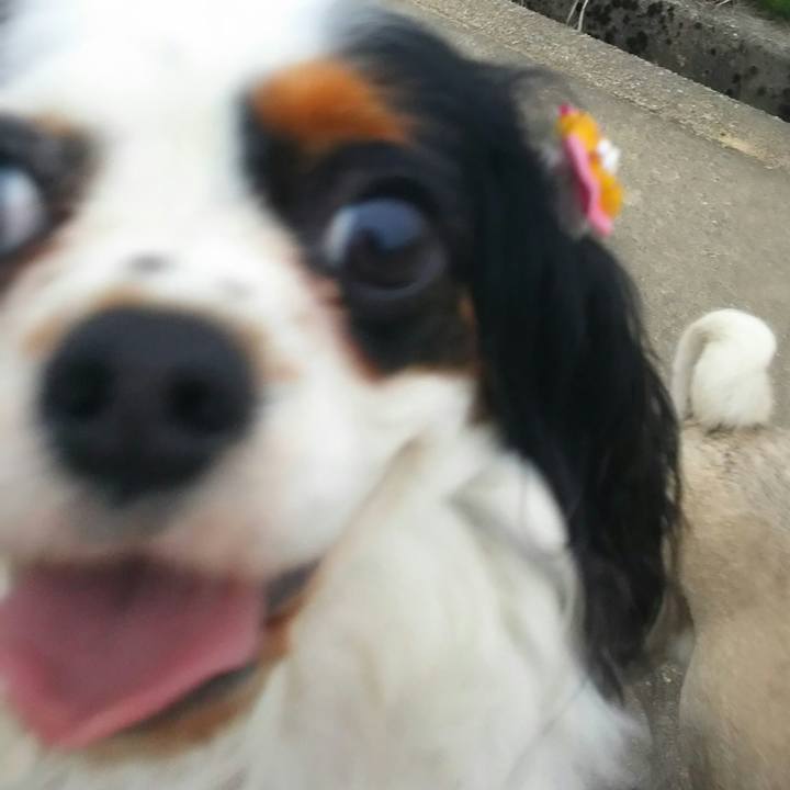 51d3dae6 1e14 41c3 88f7 d49057117ef3