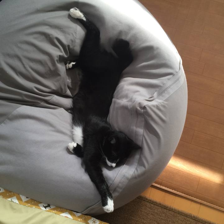 51d46954 c17c 4e22 a53a 48150eac6b90