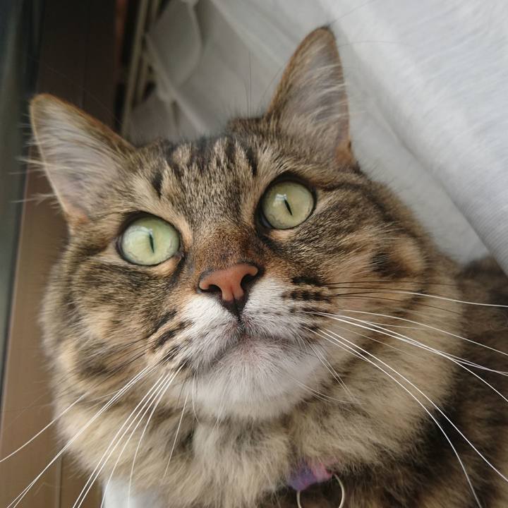 51d469d7 2fc7 4784 902e e735d270a8ec