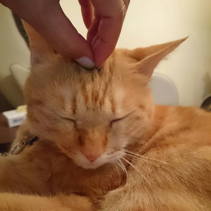 51d48393 34ea 44c0 b63e 05d61fa05f51