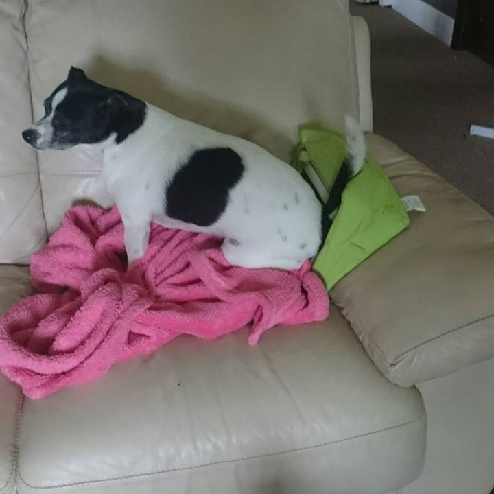 51d4dc1b 3a39 45fc 8616 2b6a57fdfa9e