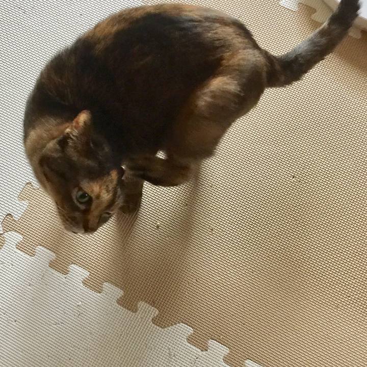 51d50fac 4338 4f8c 94de ab65c3c3f783