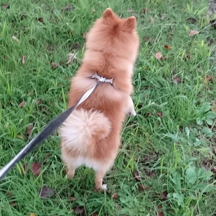 51d57524 f36d 4b95 b2a7 d0ec3c21f142