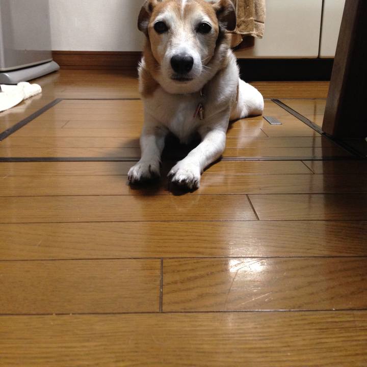 51d60f77 ed5f 4682 9edb 93a28149f47f