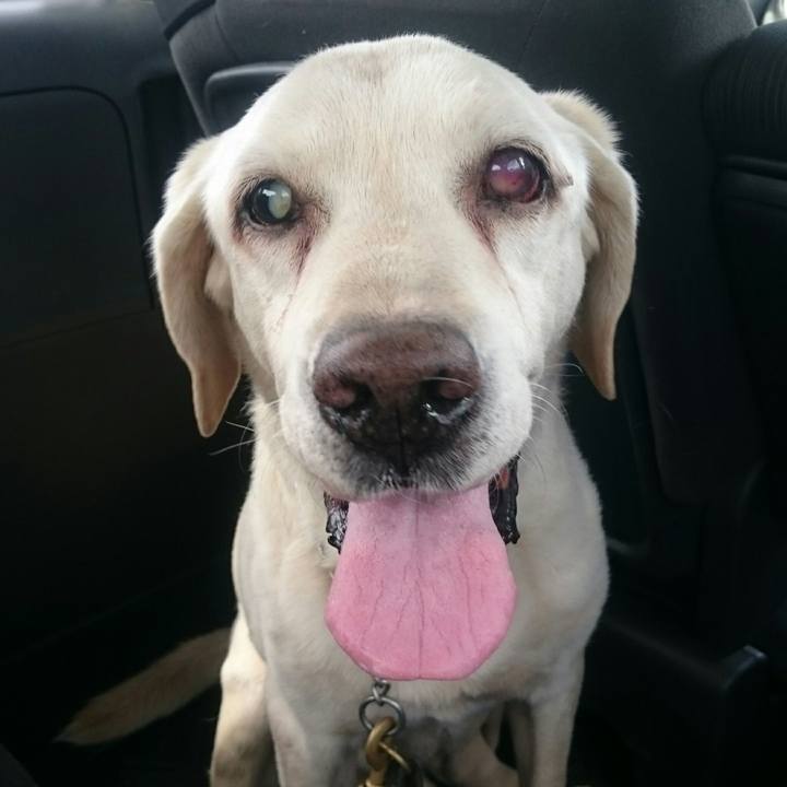 51d62835 bb61 4856 b0ec f24700a31a32