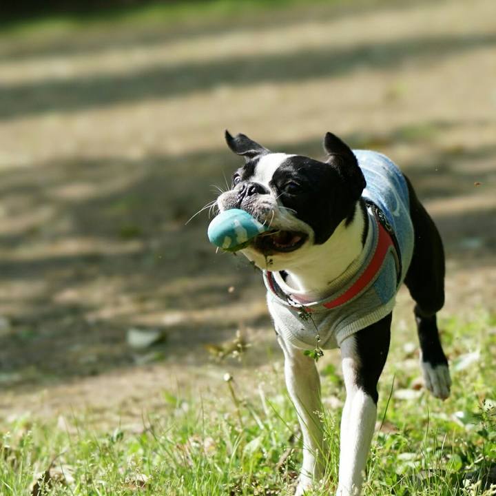 51d6e0a9 4334 4bef 9fa9 f7f4843ba719