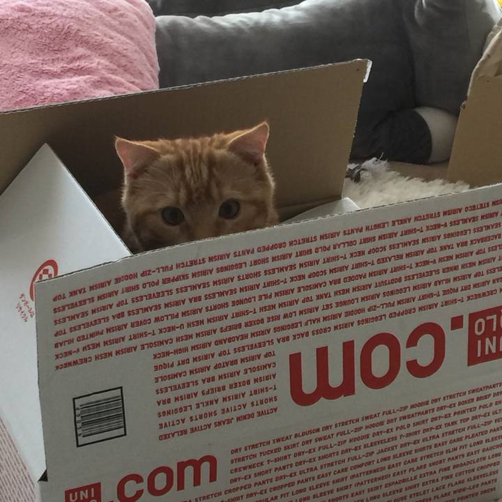 51d7625c 4a1b 47a8 a962 dcc06c779ce2