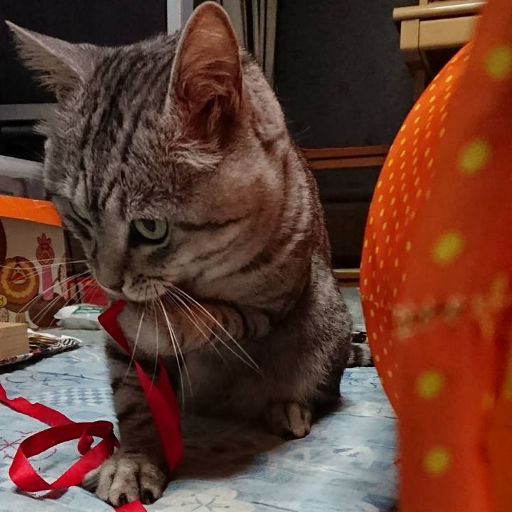 51d76325 98a6 465d b9dc 487edc44ec57