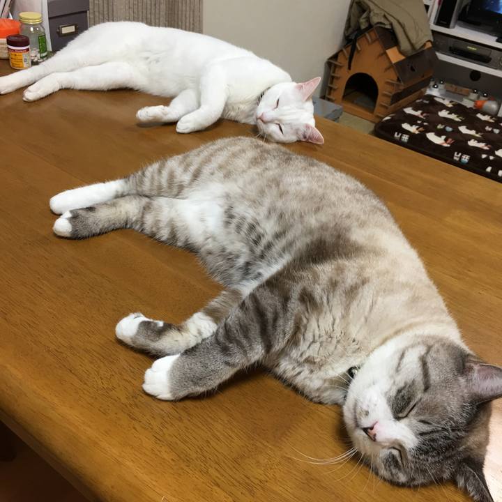 51d78063 c0bc 4358 9ac3 bac3beed7e55