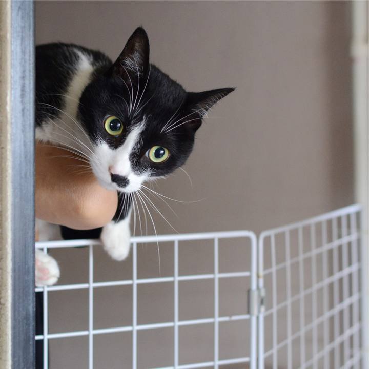 51d82faa f06c 4b72 b592 3beafcf3a1cf