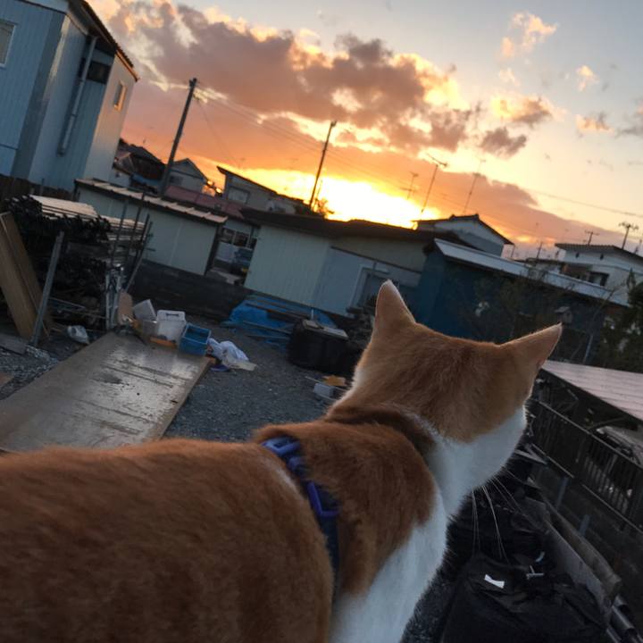 51d8cbb2 b60a 4daf a2e1 b13bbfd979b9