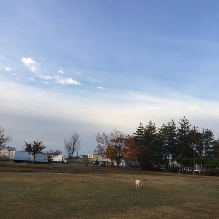 51d8f33e c5ff 40bf a33c 98b7f98ae0e0