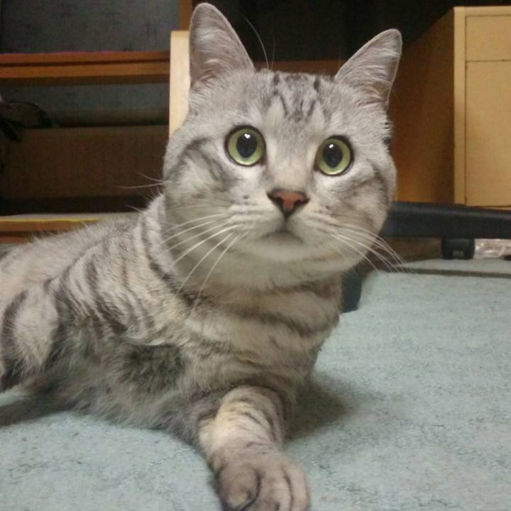 51d94f13 8247 4f93 91f2 d1012bbb353e