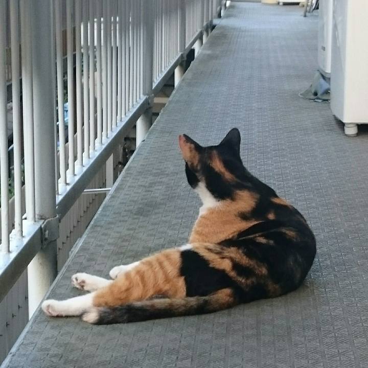 51d9ec02 5227 4beb 8d67 297fb5e3aae9