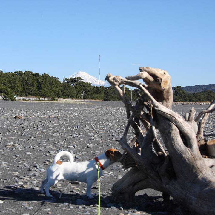 51d9f327 bdb0 4714 a997 eda72617f142