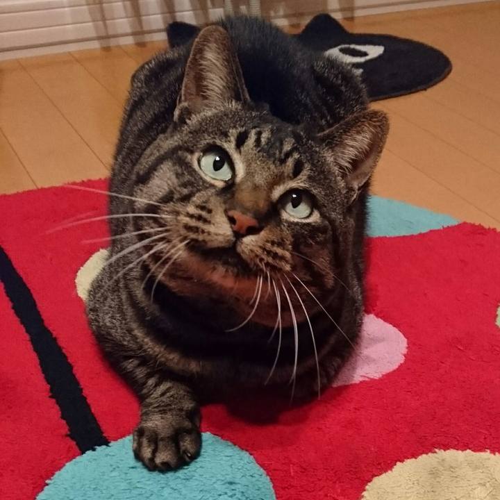 51d9f4c7 956d 41c7 867e 5963232e7446